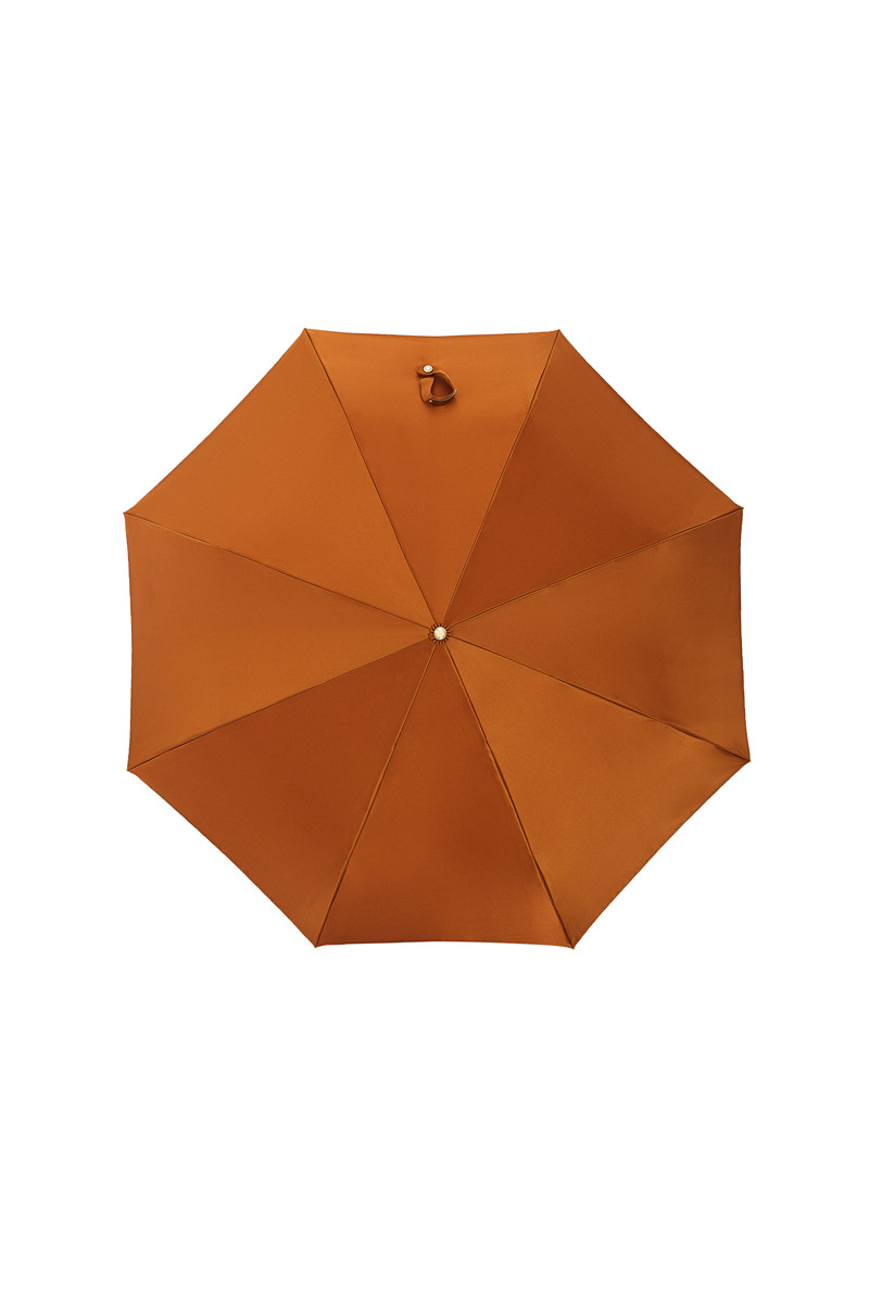 Pomeranian dog Folding umbrella