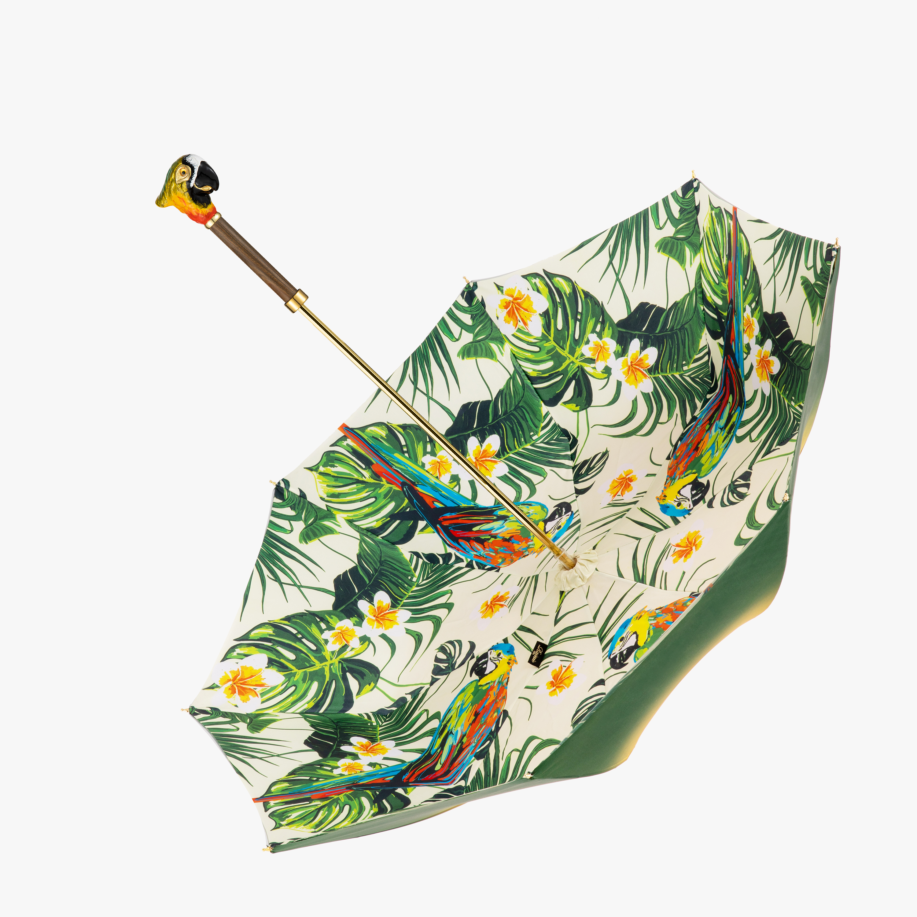 Enamelled Parrot Double handle Umbrella